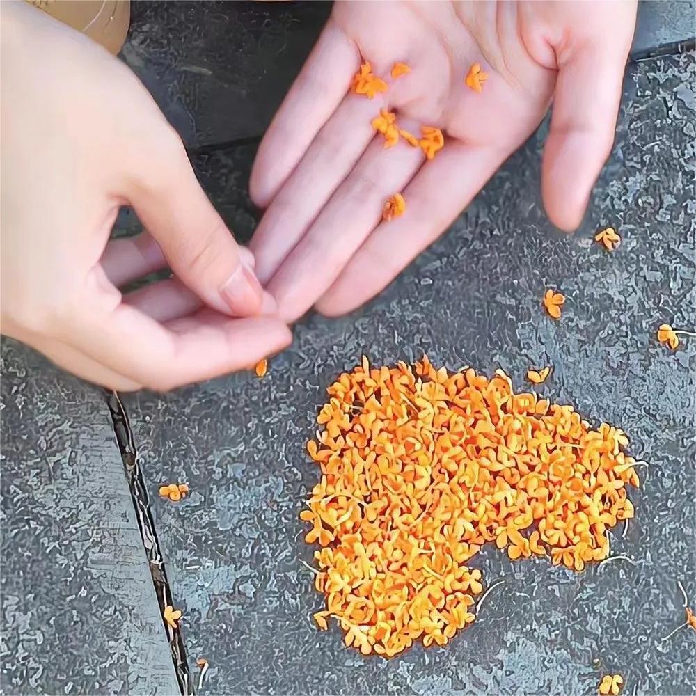 2026美到窒息的静态壁纸头像 好看到爆的神仙壁纸头像女